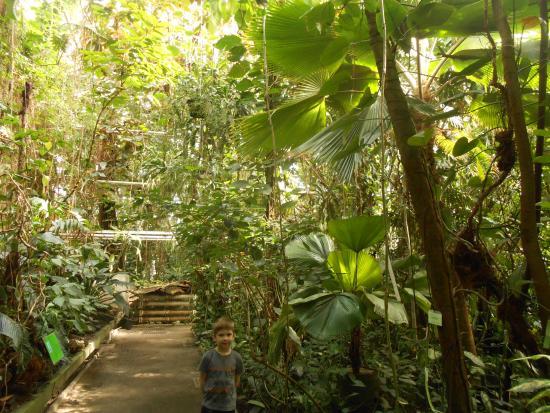 Palmiarnia Poznańska